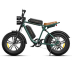 ThunderRider Moto-E Cruiser